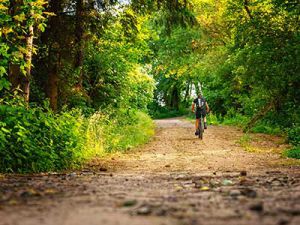 urlaub-im-oderbruch-fahrradtour-durch-das-oderbruch-2.jpg