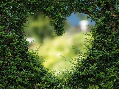 4 Romantik-Tage in Altlewin für 2 - Liebestrip auf dem Bauernhof - Romantikwochenende in der Natur 4 Romantik-Tage in Altlewin für 2 - Liebestrip auf dem Bauernhof - Romantikwochenende in der Natur