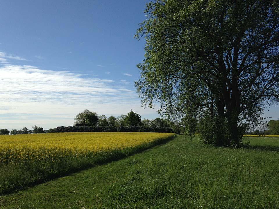 Ausflüge im Oderbruch rund um den Erlebnishof