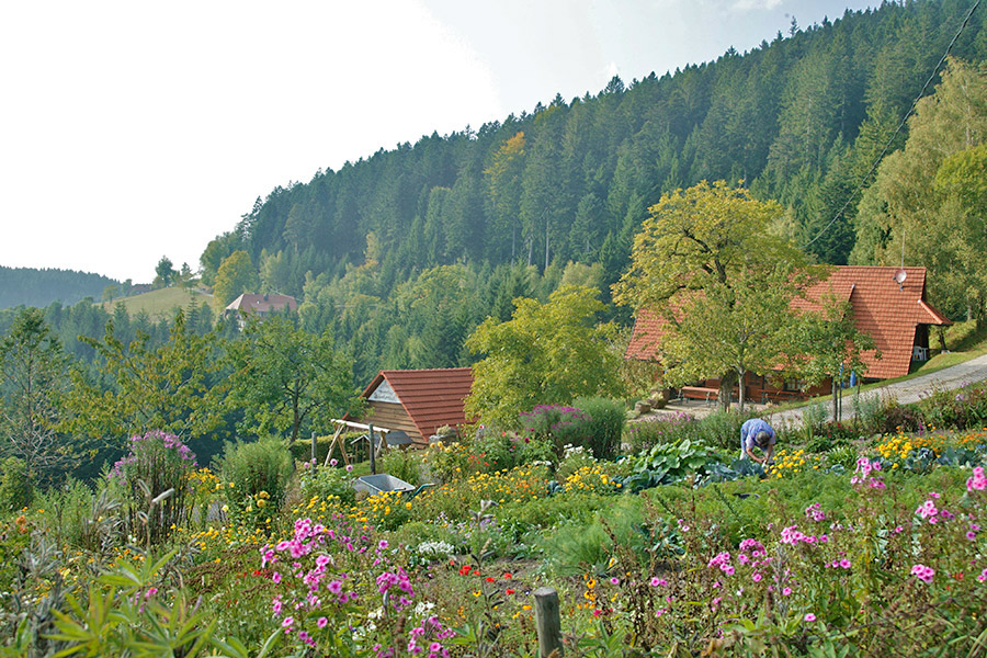 Bauerngarten auf dem Erlebnishof Bauerngarten auf dem Erlebnishof